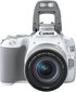 Canon EOS 250D цена и информация | Digitālās fotokameras | 220.lv