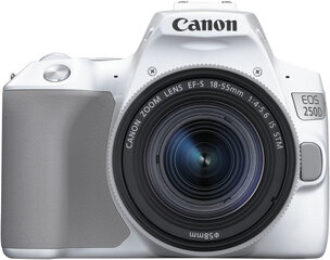 Canon EOS 250D + 18-55мм IS STM Kit, белый цена и информация | Цифровые фотоаппараты | 220.lv