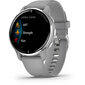 Garmin Venu® 2 Plus Silver/Powder Grey 43mm cena un informācija | Viedpulksteņi (smartwatch) | 220.lv