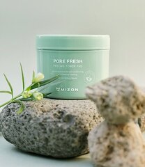 Двусторонние отшелушивающие влажные подушечки Pore Fresh (Peeling Toner Pad), 60 шт. цена и информация | Средства для очищения лица | 220.lv