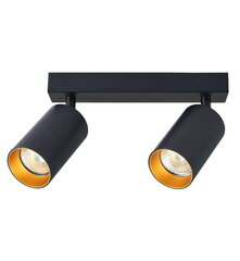 Направленный светильник 2xGU10 черно-золотого цвета цена и информация | Потолочные светильники | 220.lv