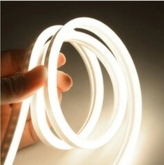 Neona LED lente 12 V 5 m 4500 K 8 W / m komplekts ar barošanas bloku цена и информация | Светодиодные ленты | 220.lv