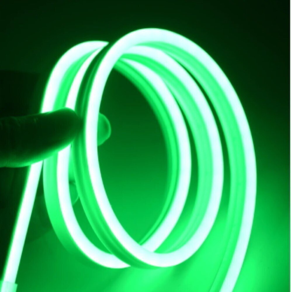 Neona LED lente zaļa 12 V 5 m 8 W / m komplekts ar barošanas bloku cena un informācija | LED lentes | 220.lv