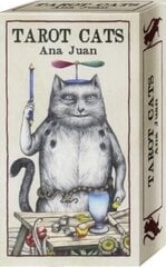 Карты Таро Tarot Cats цена и информация | Эзотерика | 220.lv