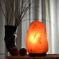 Himalaju sāls kristāla lampa, 2-3 kg cena un informācija | Galda lampas | 220.lv