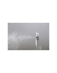 RECLAR ION MIST 24H White jonizējošais aerosols цена и информация | Средства для очищения лица | 220.lv