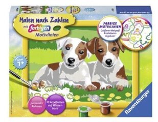 Ravensburger Gleznas pēc numuriem