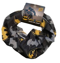 Šalle zēniem Batman cena un informācija | Cepures, cimdi, šalles zēniem | 220.lv