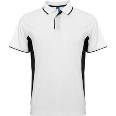 Polo krekls ar garām piedurknēm cena un informācija | Sporta apģērbs vīriešiem | 220.lv