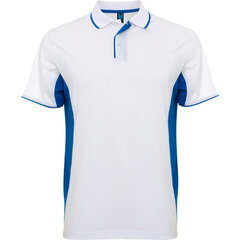 Polo krekls ar garām piedurknēm cena un informācija | Sporta apģērbs vīriešiem | 220.lv