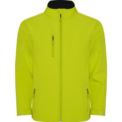 Двухслойная куртка Softshell цена и информация | Куртки для мальчиков | 220.lv