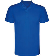 Спортивная рубашка-поло. цена и информация | Рубашки для мальчиков | 220.lv