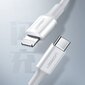 Ugreen USB Type C - Lightning cable 3A 0,25m white (US171) цена и информация | Savienotājkabeļi | 220.lv