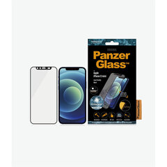 Rūdīta stikla ekrāna aizsargs iPhone 12 Mini cena un informācija | Ekrāna aizsargstikli | 220.lv