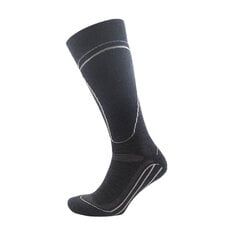 Slēpošanas zeķes Ski Socks цена и информация | Мужские носки | 220.lv