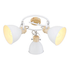 Светильник Globo Lighting Wiho G54018-3 цена и информация | Потолочные светильники | 220.lv