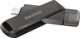 SanDisk SDIX70N-256G-GN6NE cena un informācija | USB Atmiņas kartes | 220.lv