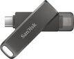 SanDisk SDIX70N-256G-GN6NE cena un informācija | USB Atmiņas kartes | 220.lv