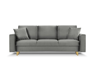 Трехместный диван Mazzini Sofas Cartadera, светло-серый/золотистый цена и информация | Диваны | 220.lv