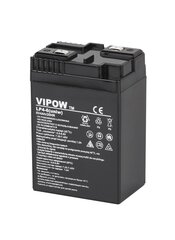 Аккумулятор Vipow 6В 4Ач цена и информация | Аккумуляторы | 220.lv