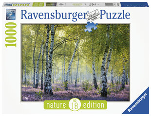 Puzle Birch Forest,RAVENSBURGER, 1000d., 16753 cena un informācija | Puzles, 3D puzles | 220.lv