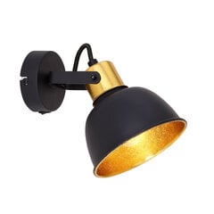 Светильник Globo Lighting Fillo G54655-1 цена и информация | Настенные светильники | 220.lv