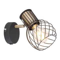 Светильник Globo Lighting Argusto G54013-1 цена и информация | Настенные светильники | 220.lv