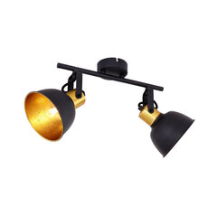 Светильник Globo Lighting Fillo G54655-2 цена и информация | Настенные светильники | 220.lv