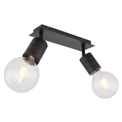 Светильник Globo Lighting Hermine G54030-2 цена и информация | Настенные светильники | 220.lv