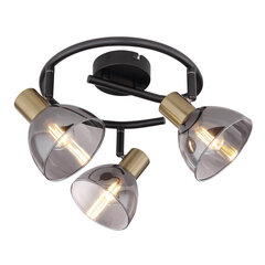 Светильник Globo Lighting Jay G54305-3 цена и информация | Потолочный светильник | 220.lv