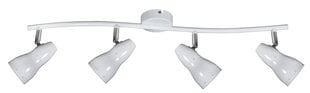 Candellux lighting светильник Fiord цена и информация | Потолочный светильник | 220.lv