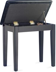 Нерегулируемый стул для пианино Stagg PBF23 BKM SBK цена и информация | Принадлежности для музыкальных инструментов | 220.lv