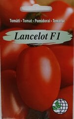 Помидоры Lancelot F1 цена и информация | Семена овощей, ягод | 220.lv