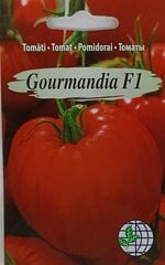 Tomāti Gourmandia F1 cena un informācija | Dārzeņu, ogu sēklas | 220.lv