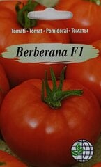 Tomāti Berberana F1 cena un informācija | Dārzeņu, ogu sēklas | 220.lv