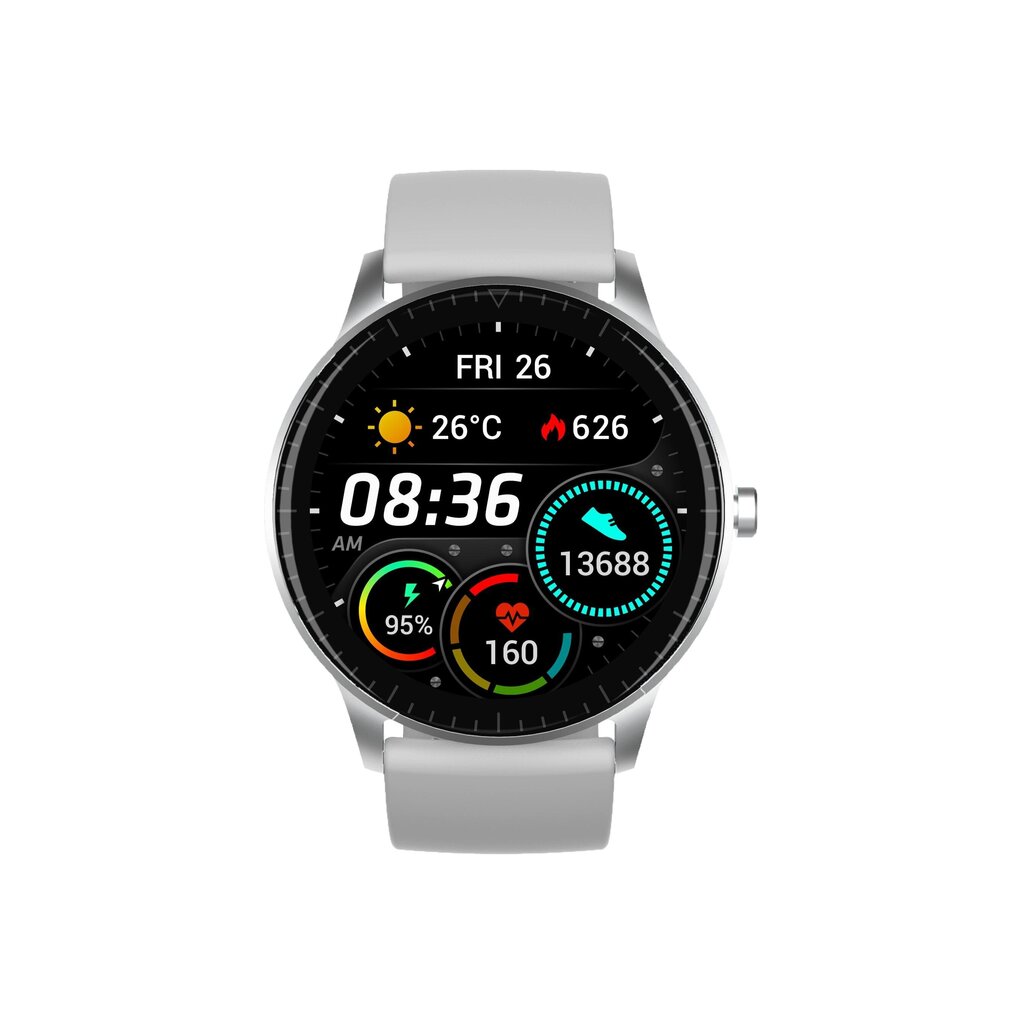 Denver SW-173 Grey цена и информация | Viedpulksteņi (smartwatch) | 220.lv