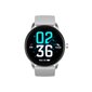 Denver SW-173 Grey цена и информация | Viedpulksteņi (smartwatch) | 220.lv