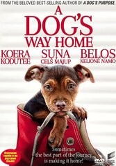 DVD filma "Suņa ceļš mājup" (2018) cena un informācija | Vinila plates, CD, DVD | 220.lv