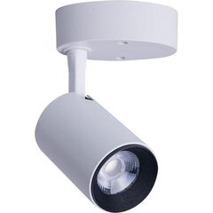 Nowodvorski Lighting gaismeklis 8993 цена и информация | Потолочные светильники | 220.lv
