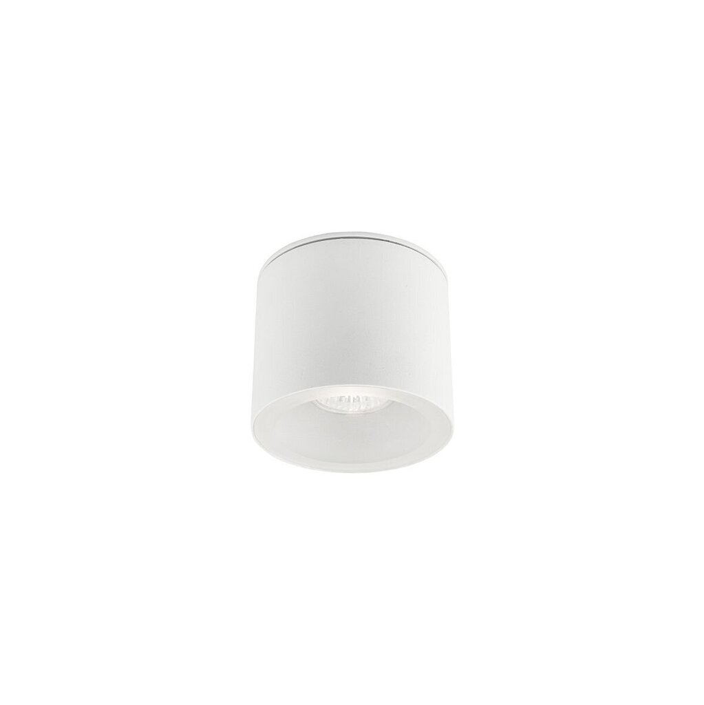 Nowodvorski Lighting gaismeklis 9564 цена и информация | Griestu lampas | 220.lv