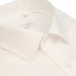 Vīriešu krekls NORDIC, taisns siluets - Ar garām piedurknēm 9134-46 цена и информация | Vīriešu krekli | 220.lv