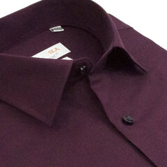 Рубашки мужские NORDIC, приталенный силуэт - с длинным рукавом 7095F-45 цена и информация | Мужские рубашки | 220.lv
