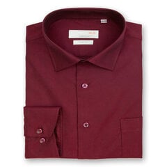 Рубашки мужские NORDIC, приталенный силуэт - с длинным рукавом 9110F-45 цена и информация | Мужские рубашки | 220.lv