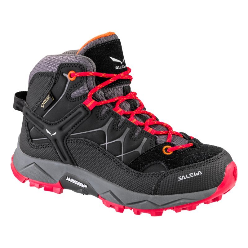 Bērnu zābaki GORE-TEX Salewa JR ALP TRAINER MID GTX 0928 cena | 220.lv