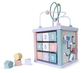 Деревянный развивающий кубик Ecotoys цена и информация | Развивающие игрушки | 220.lv