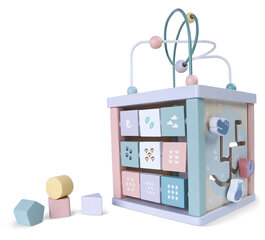 Деревянный развивающий кубик Ecotoys цена и информация | Развивающие игрушки | 220.lv