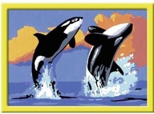 Kартины по номерам в рамке "Два кита" 18x13 Li R 28013 цена и информация | Живопись по номерам | 220.lv