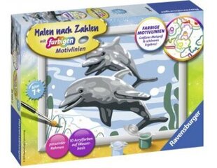 Glezna pēc numuriem rāmītī "Delfīni" 18x13, Li R 28468 cena un informācija | Ravensburger Rotaļlietas, bērnu preces | 220.lv