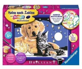 Glezna pēc numuriem rāmītī, Brilliant "Suns ar kaķēnu" 13x18 Li R 28016 cena un informācija | Ravensburger Rotaļlietas, bērnu preces | 220.lv