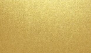 Aploksnes CURIOUS METALLICS DL (E65), 110x220 mm, 20 gab., Super Gold цена и информация | Тетради и бумажные товары | 220.lv